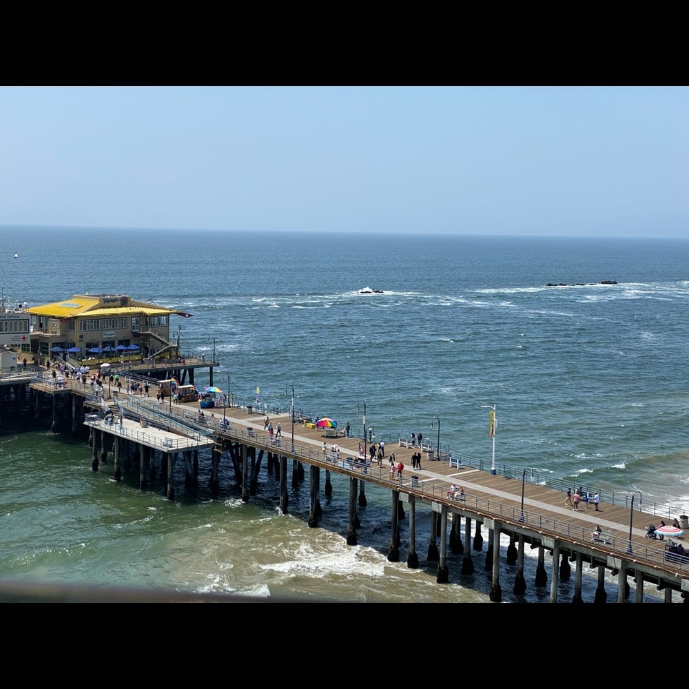 Meet your Posher, Rimon